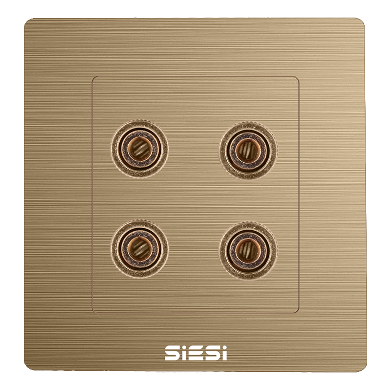 两位四孔音响插座-V6富贵金-亚洲必赢照明官网