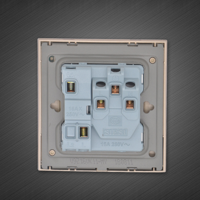 16A三极插座带（单/双）控开关-V9太空灰-亚洲必赢照明官网