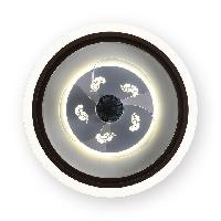 风扇灯-亚洲必赢照明官网