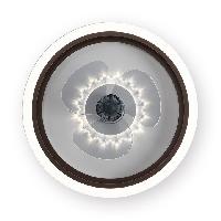 风扇灯-亚洲必赢照明官网